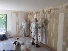 Best Mold Remediation for Healthcare Facilities  in Lake Cassidy, WA